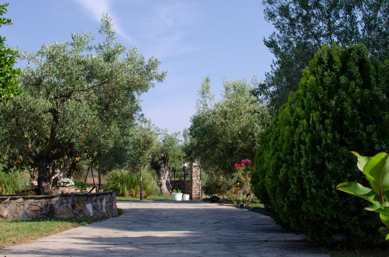 Hotel Makis House Nikiti  Exterior foto